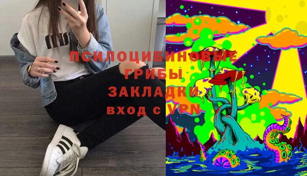 гашик Осташков