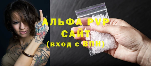 гашик Осташков