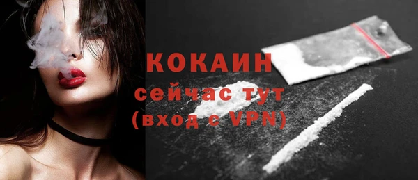 гашик Осташков