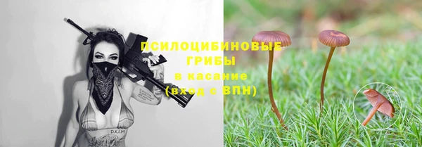 гашик Осташков