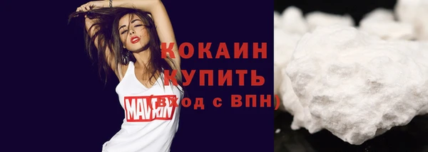 гашик Осташков