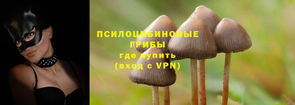 не бодяженный Осинники