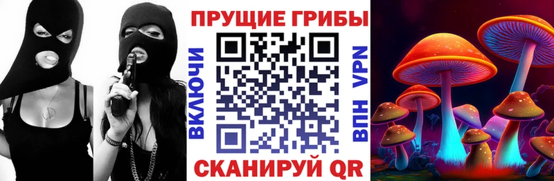 mega Темрюк Псилоцибиновые грибы ЛСД